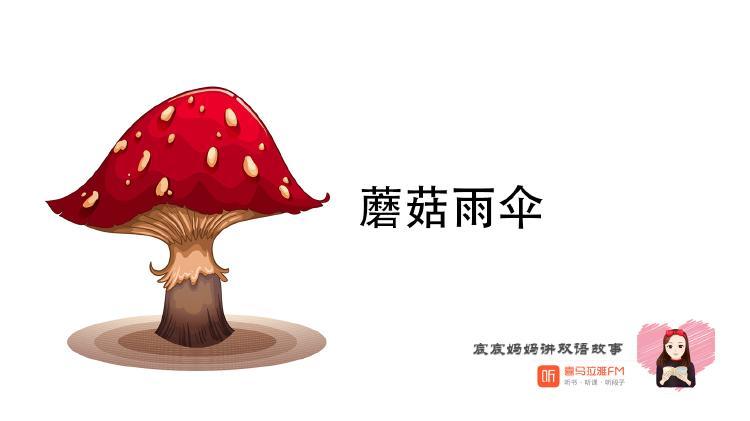 形容蘑菇像雨伞的成语句子