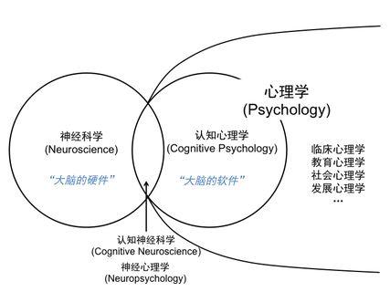 心理语言学理论