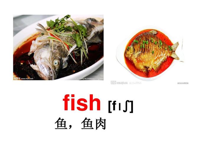 鱼肉的特点英语句子的相关图片